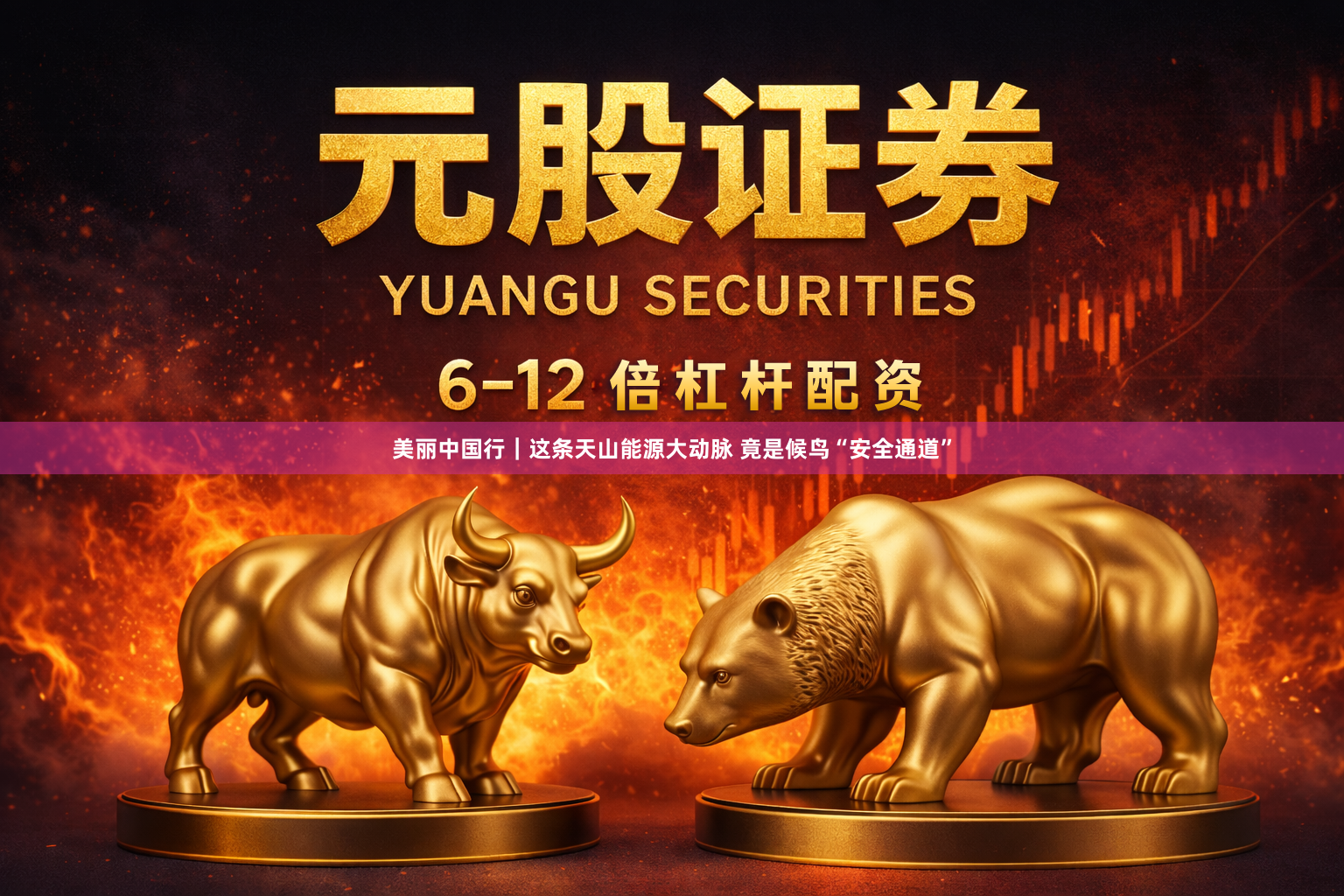 美丽中国行|这条天山能源大动脉 竟是候鸟“安全通道”