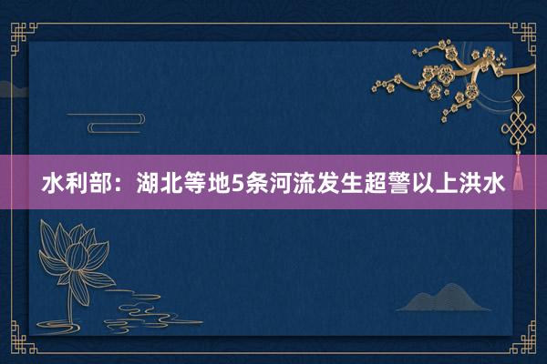 水利部：湖北等地5条河流发生超警以上洪水