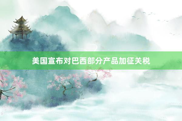 美国宣布对巴西部分产品加征关税