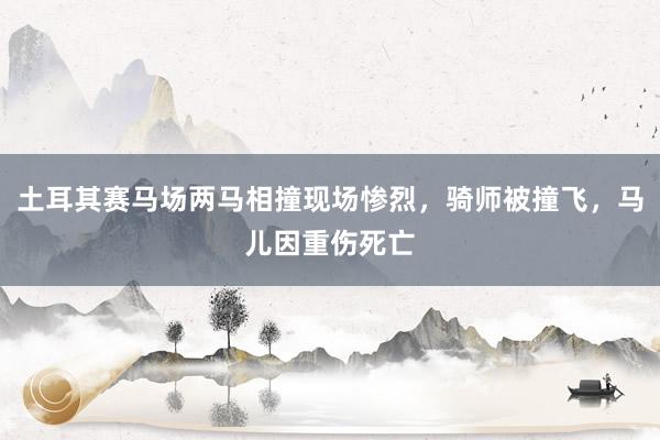 土耳其赛马场两马相撞现场惨烈，骑师被撞飞，马儿因重伤死亡