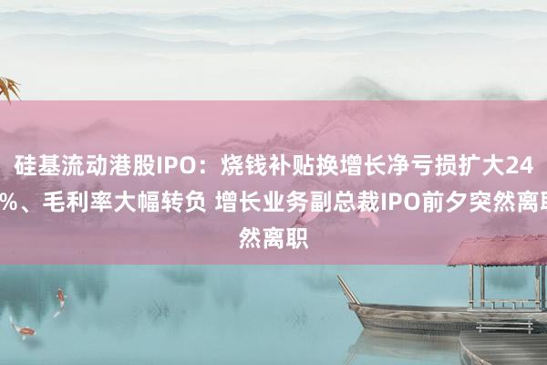 硅基流动港股IPO：烧钱补贴换增长净亏损扩大246%、毛利率大幅转负 增长业务副总裁IPO前夕突然离职