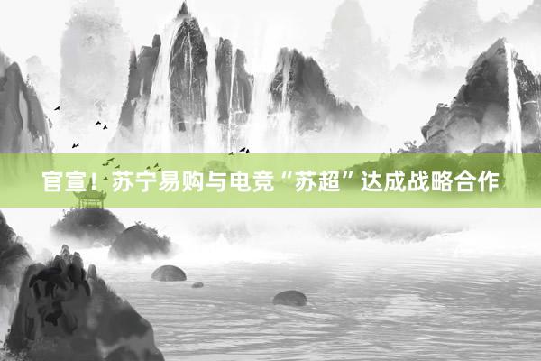官宣！苏宁易购与电竞“苏超”达成战略合作