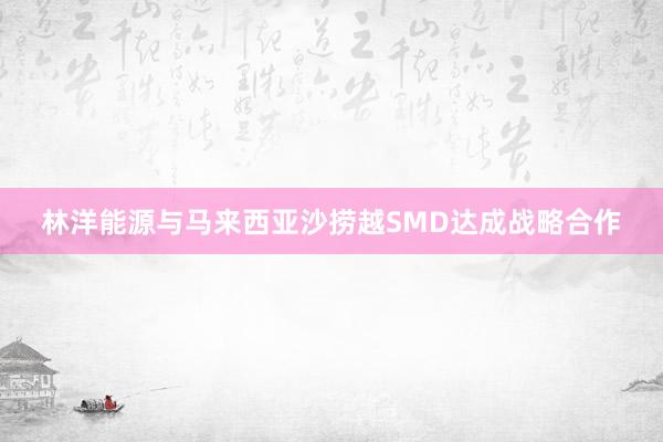 林洋能源与马来西亚沙捞越SMD达成战略合作
