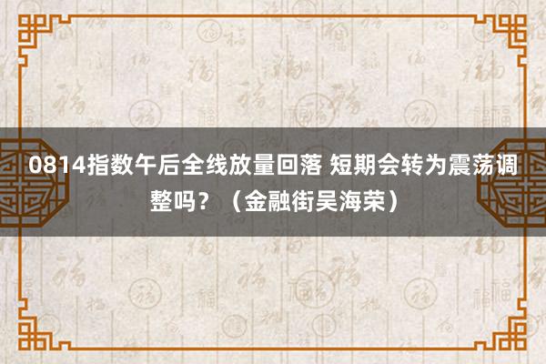 0814指数午后全线放量回落 短期会转为震荡调整吗？（金融街吴海荣）