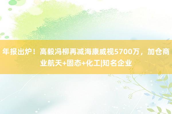 年报出炉！高毅冯柳再减海康威视5700万，加仓商业航天+固态+化工|知名企业