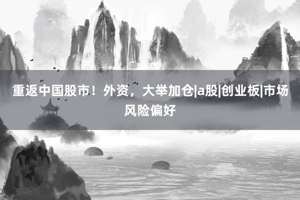 重返中国股市！外资，大举加仓|a股|创业板|市场风险偏好