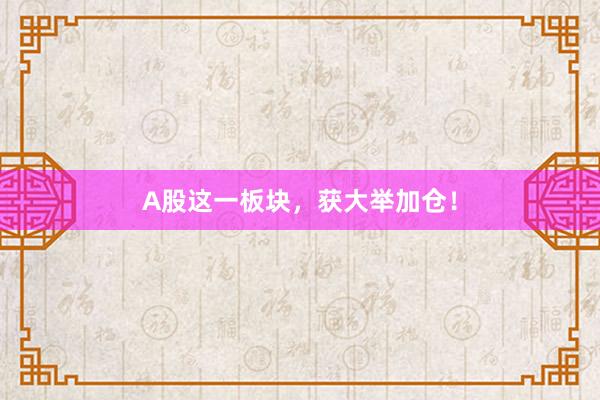 A股这一板块，获大举加仓！