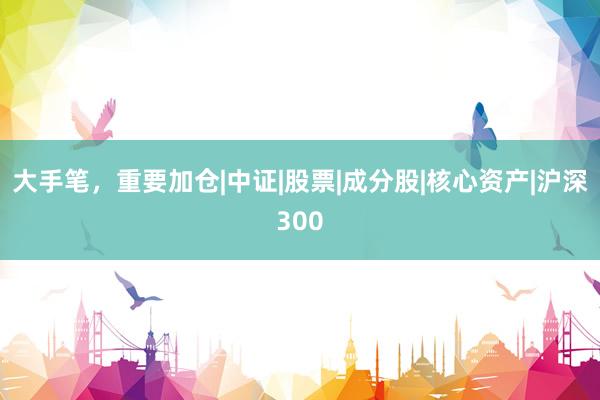 大手笔，重要加仓|中证|股票|成分股|核心资产|沪深300