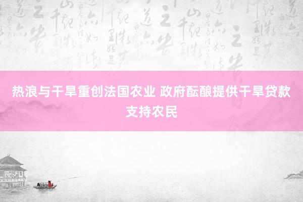 热浪与干旱重创法国农业 政府酝酿提供干旱贷款支持农民