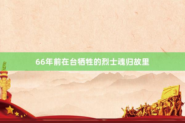 66年前在台牺牲的烈士魂归故里