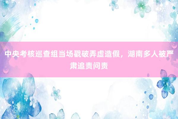 中央考核巡查组当场戳破弄虚造假，湖南多人被严肃追责问责