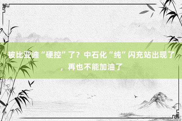 被比亚迪“硬控”了？中石化“纯”闪充站出现了，再也不能加油了