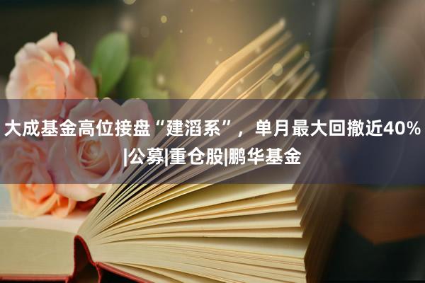 大成基金高位接盘“建滔系”，单月最大回撤近40%|公募|重仓股|鹏华基金