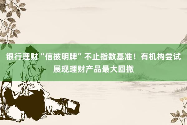 银行理财“信披明牌”不止指数基准！有机构尝试展现理财产品最大回撤