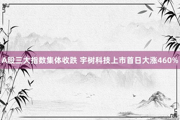 A股三大指数集体收跌 宇树科技上市首日大涨460%