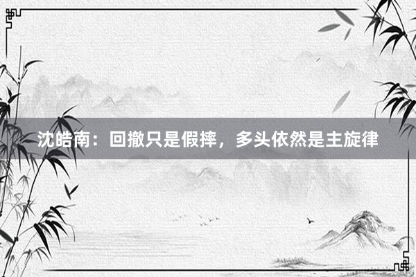 沈皓南：回撤只是假摔，多头依然是主旋律