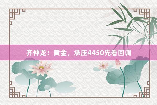 齐仲龙：黄金，承压4450先看回调