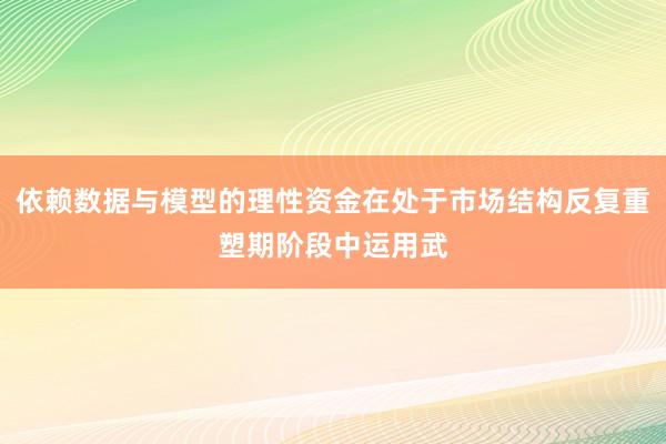 依赖数据与模型的理性资金在处于市场结构反复重塑期阶段中运用武