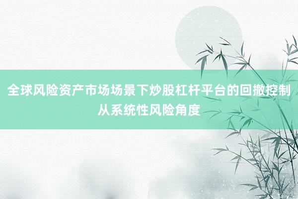全球风险资产市场场景下炒股杠杆平台的回撤控制从系统性风险角度
