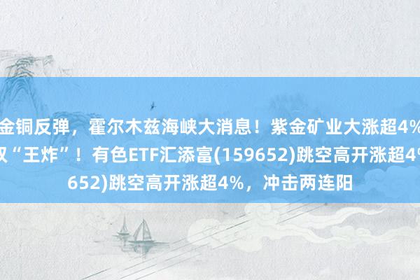 金铜反弹，霍尔木兹海峡大消息！紫金矿业大涨超4%，收购、回购双“王炸”！有色ETF汇添富(159652)跳空高开涨超4%，冲击两连阳
