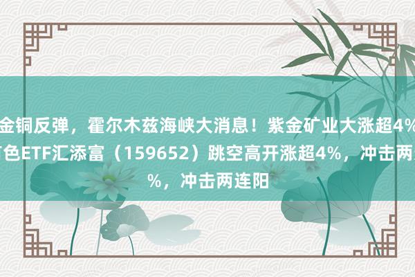金铜反弹，霍尔木兹海峡大消息！紫金矿业大涨超4%！有色ETF汇添富（159652）跳空高开涨超4%，冲击两连阳