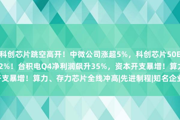 科创芯片跳空高开！中微公司涨超5%，科创芯片50ETF(588750)一度涨超2%！台积电Q4净利润飙升35%，资本开支暴增！算力、存力芯片全线冲高|先进制程|知名企业|50etf|台积电q4