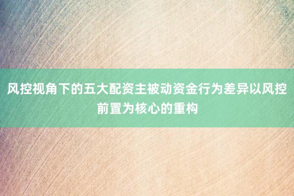 风控视角下的五大配资主被动资金行为差异以风控前置为核心的重构