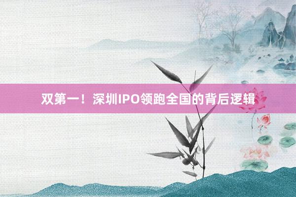双第一！深圳IPO领跑全国的背后逻辑