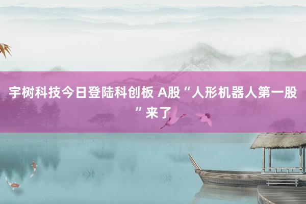 宇树科技今日登陆科创板 A股“人形机器人第一股”来了