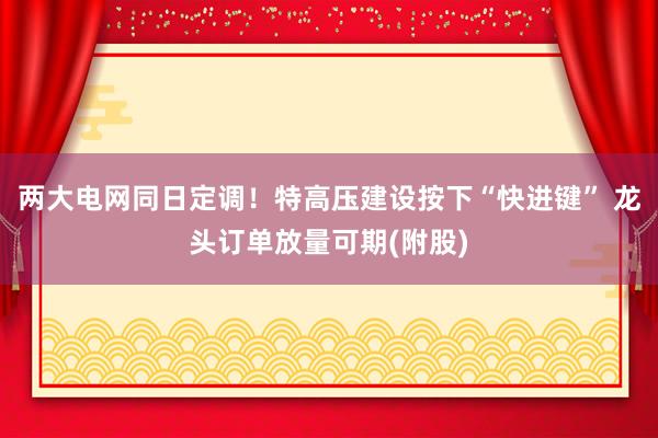 两大电网同日定调！特高压建设按下“快进键” 龙头订单放量可期(附股)