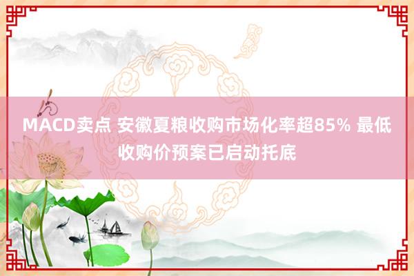 MACD卖点 安徽夏粮收购市场化率超85% 最低收购价预案已启动托底