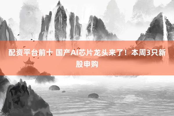 配资平台前十 国产AI芯片龙头来了！本周3只新股申购