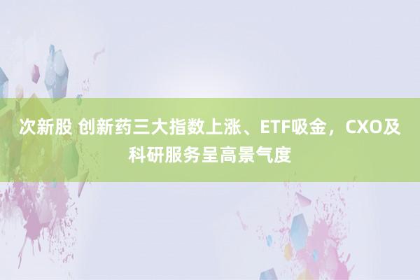次新股 创新药三大指数上涨、ETF吸金，CXO及科研服务呈高景气度