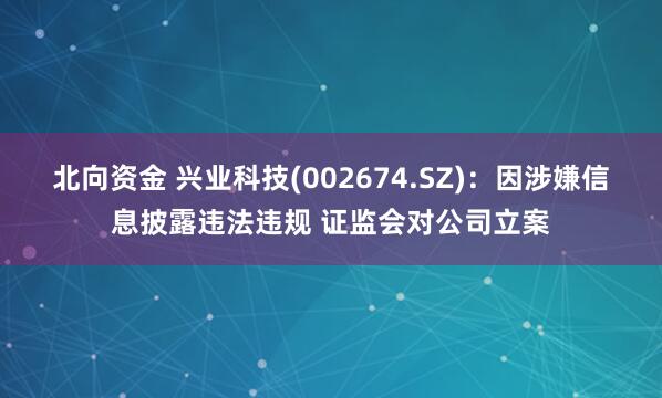 北向资金 兴业科技(002674.SZ)：因涉嫌信息披露违法违规 证监会对公司立案