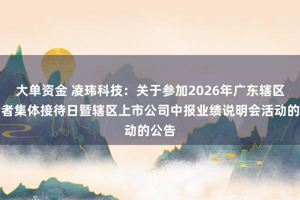 大单资金 凌玮科技：关于参加2026年广东辖区投资者集体接待日暨辖区上市公司中报业绩说明会活动的公告