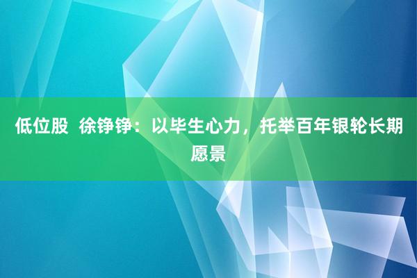 低位股  徐铮铮：以毕生心力，托举百年银轮长期愿景
