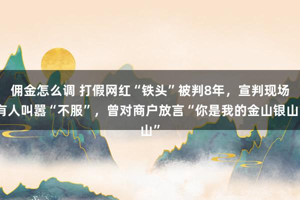 佣金怎么调 打假网红“铁头”被判8年，宣判现场有人叫嚣“不服”，曾对商户放言“你是我的金山银山”