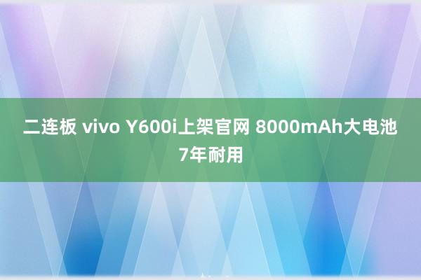 二连板 vivo Y600i上架官网 8000mAh大电池7年耐用