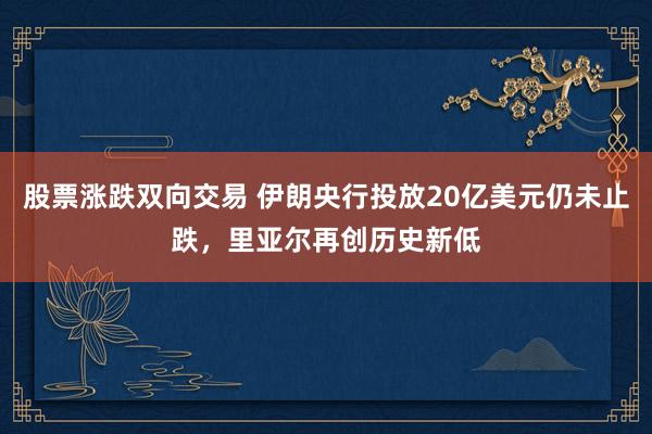 股票涨跌双向交易 伊朗央行投放20亿美元仍未止跌，里亚尔再创历史新低
