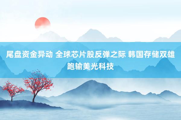 尾盘资金异动 全球芯片股反弹之际 韩国存储双雄跑输美光科技