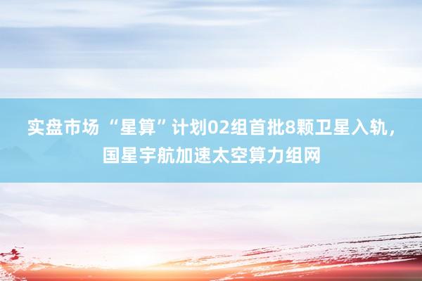 实盘市场 “星算”计划02组首批8颗卫星入轨，国星宇航加速太空算力组网