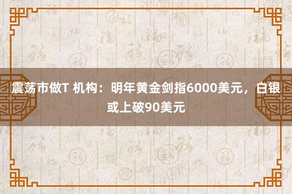震荡市做T 机构：明年黄金剑指6000美元，白银或上破90美元