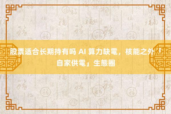 股票适合长期持有吗 AI 算力缺電，核能之外「自家供電」生態圈